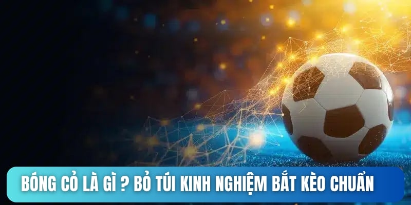 Bóng cỏ là gì