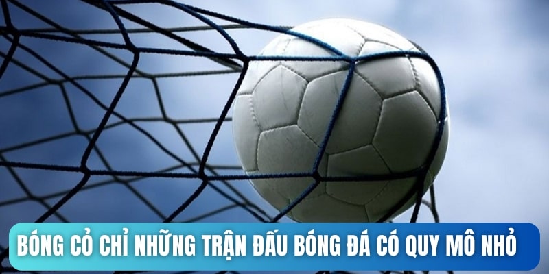 Bóng cỏ chỉ những trận đấu bóng đá có quy mô nhỏ